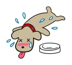 犬が暑い時に冷やす場所は人間と一緒 効果的な方法も Pet Ear ペットイヤー