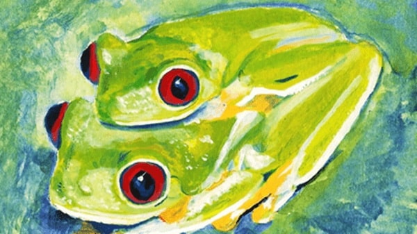 イエアメガエルのオスメス判別方法をご紹介 自然繁殖は可能なの Pet Ear ペットイヤー