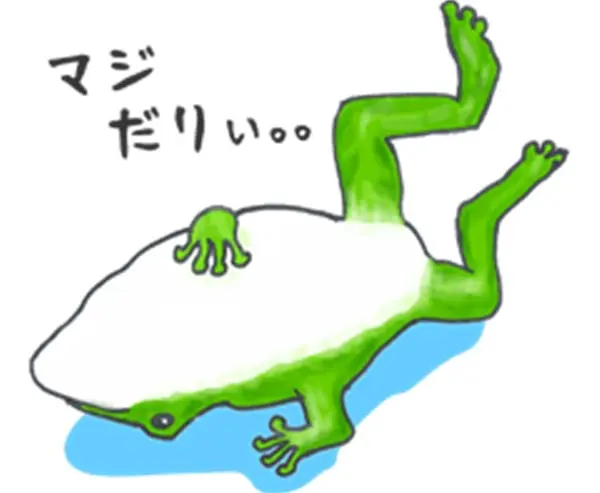 イエアメガエルのオスメス判別方法をご紹介 自然繁殖は可能なの Pet Ear ペットイヤー