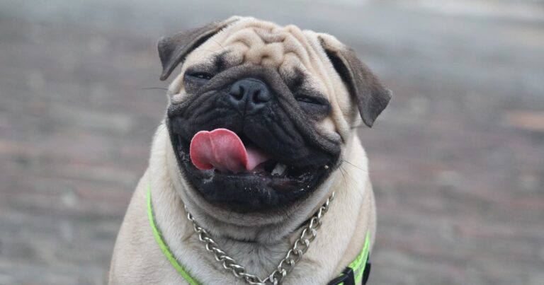 吐き気のリスク